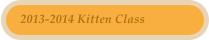 2013-2014 Kitten Class