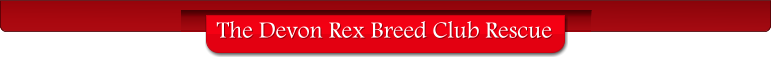The Devon Rex Breed Club Rescue